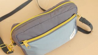 フェリシモの2-wayポシェットが重宝しています!裏返すとバッグインバッグにもなるスグレモノ!